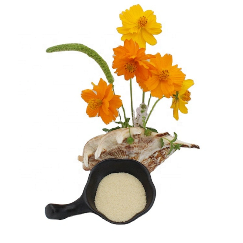Bulk Stabilizer Food Grade gelatin Ingredients Halal Kosher gelatine Manufacturers Beef Gelatin 120-180 bloom